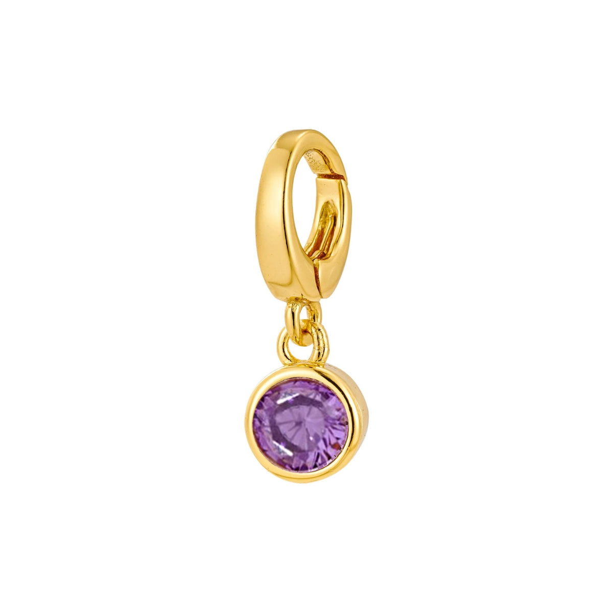 gold February birthstone charm for necklace or bracelet from featherly - clip on charms