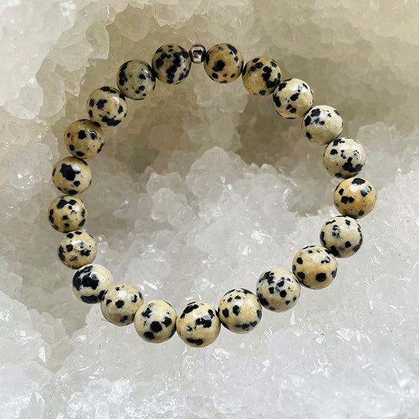 Dalmatian Jasper Stacker Gemstone Crystal  Bracelet